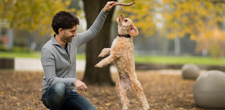 The Health Benefits of Owning a Pet